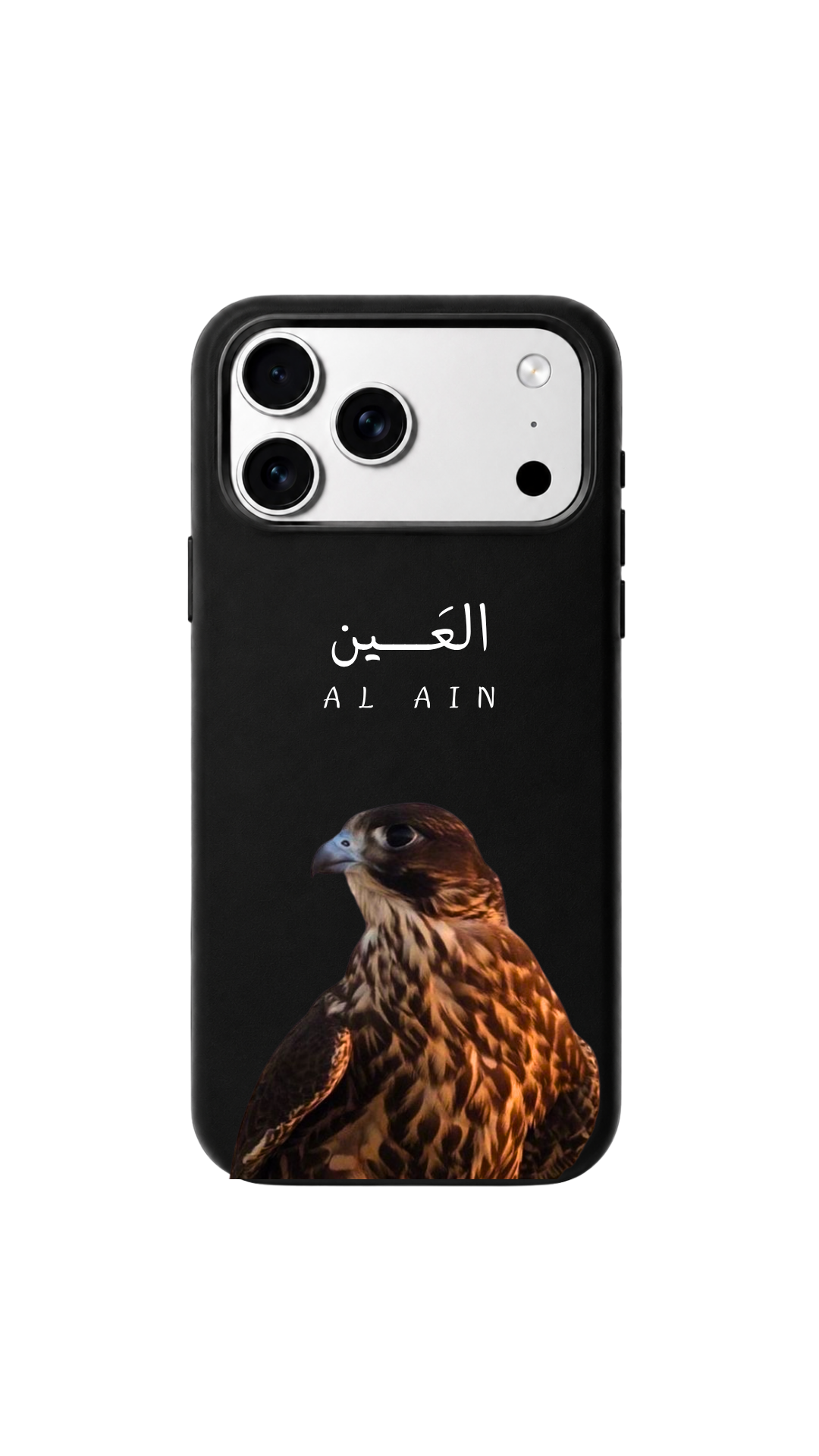 Al Ain π¦