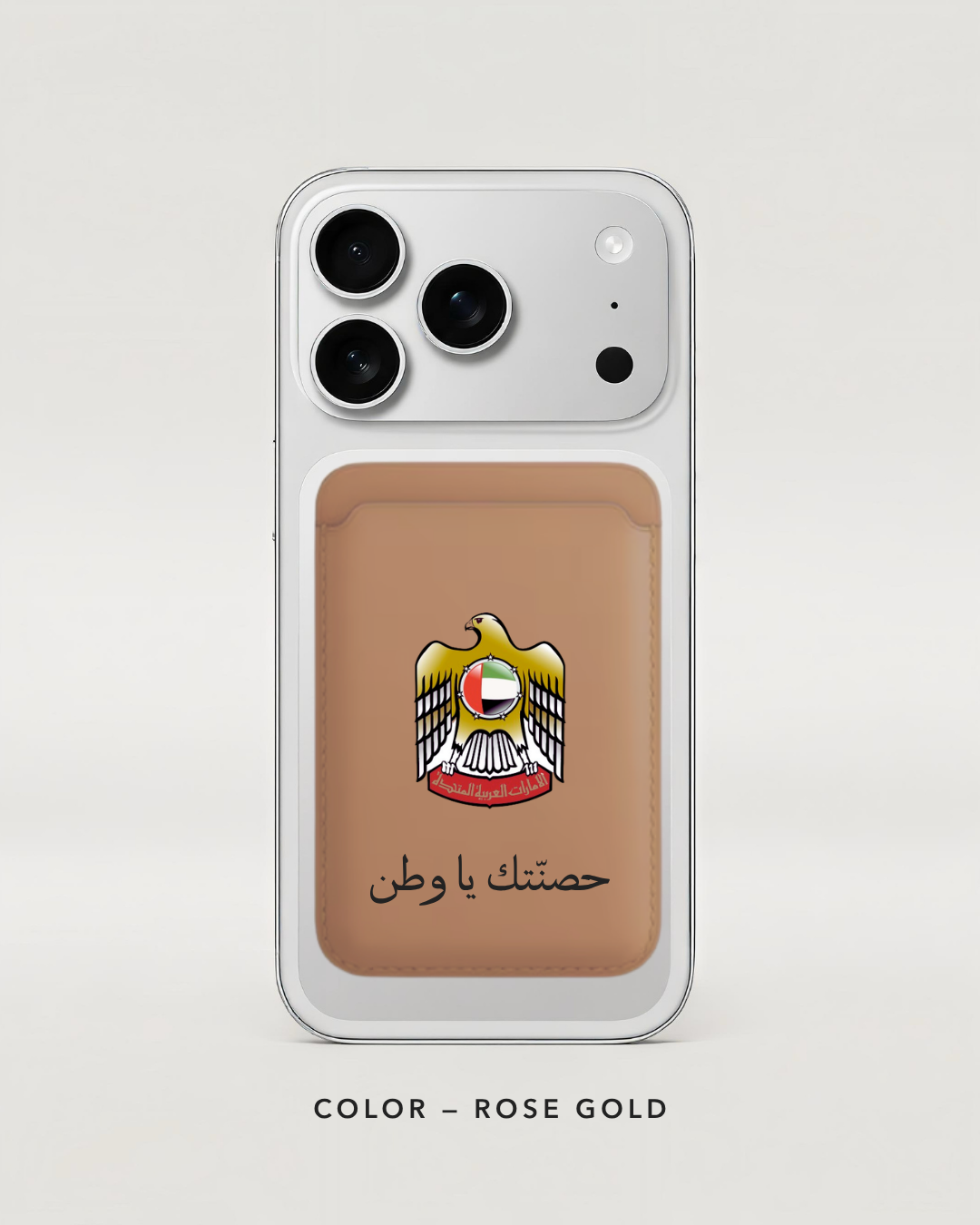 UAE falcon