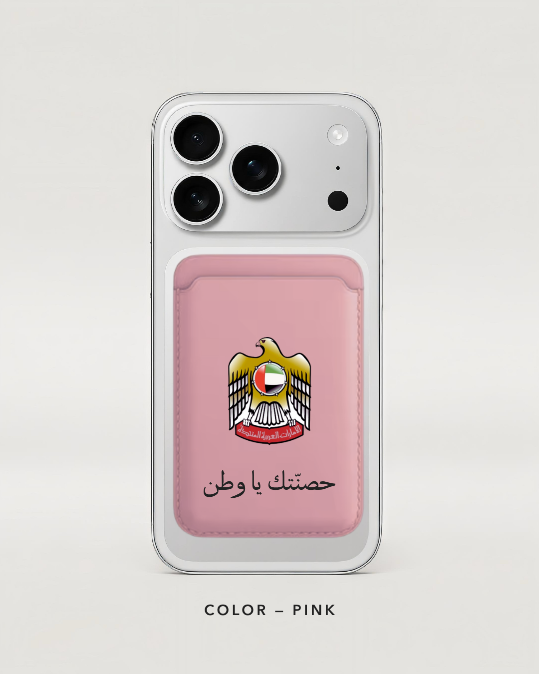 UAE falcon