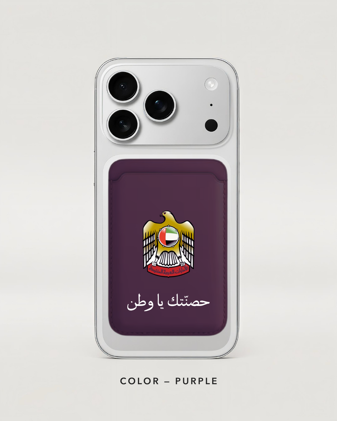 UAE falcon