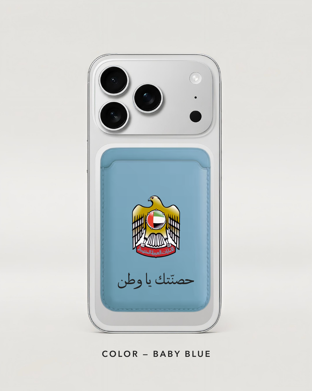 UAE falcon