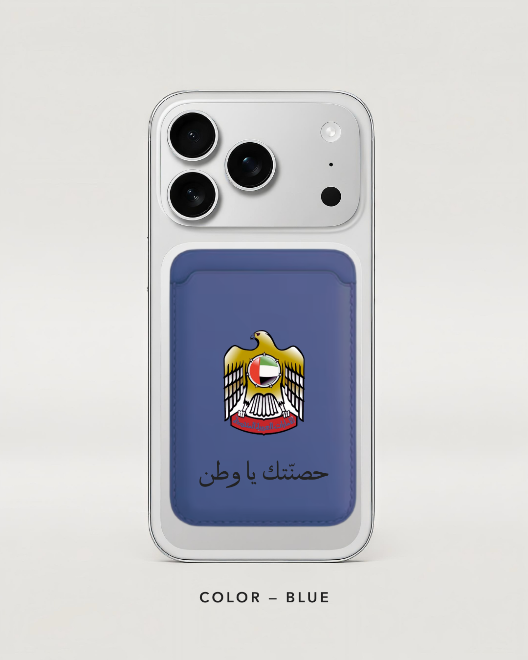 UAE falcon