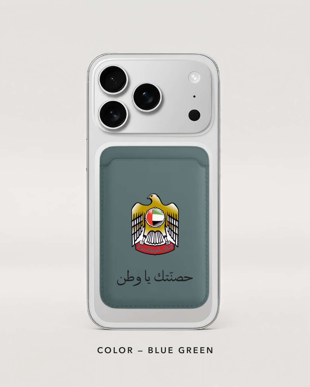 UAE falcon