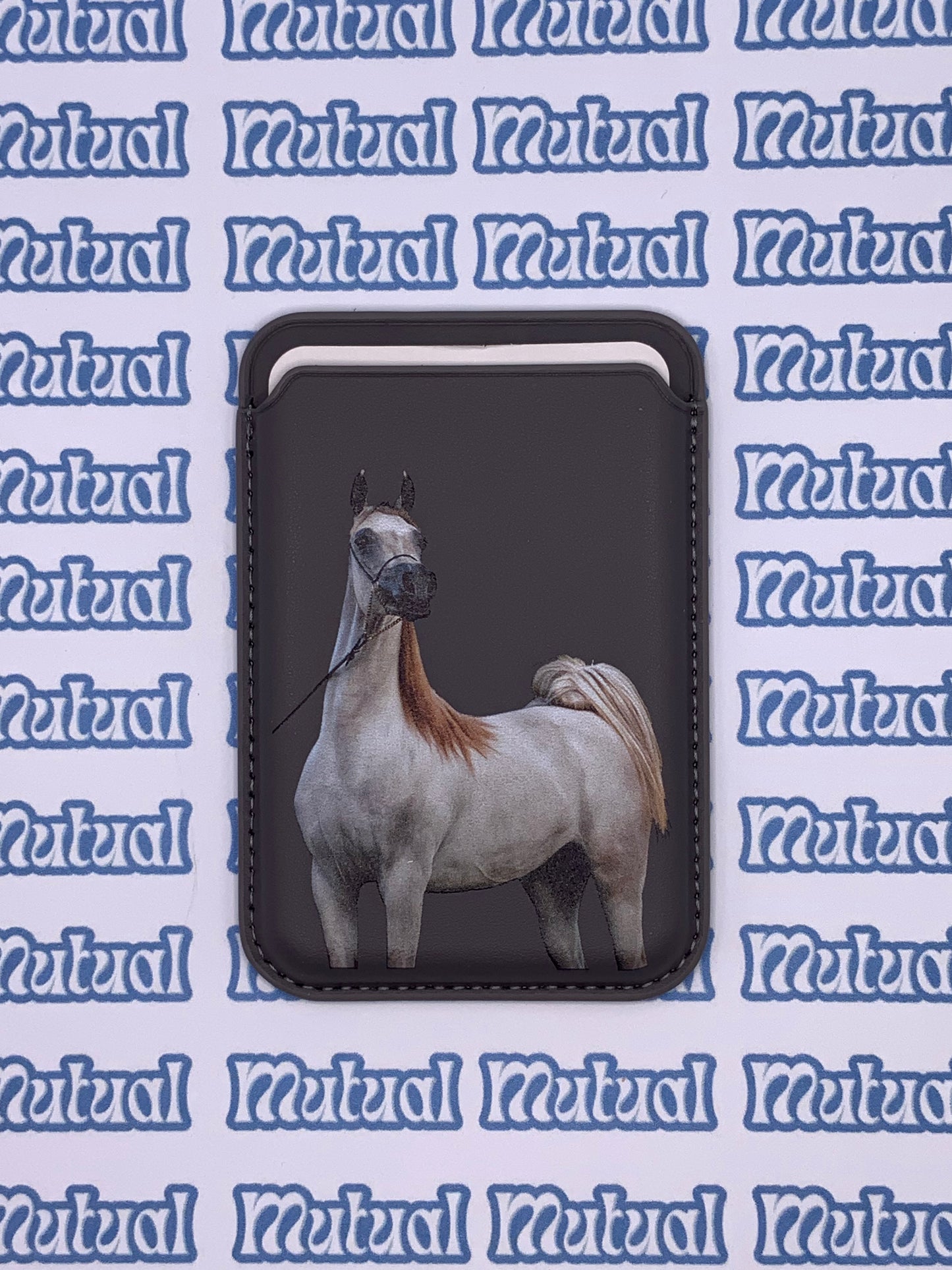 Animal ready card holders mix