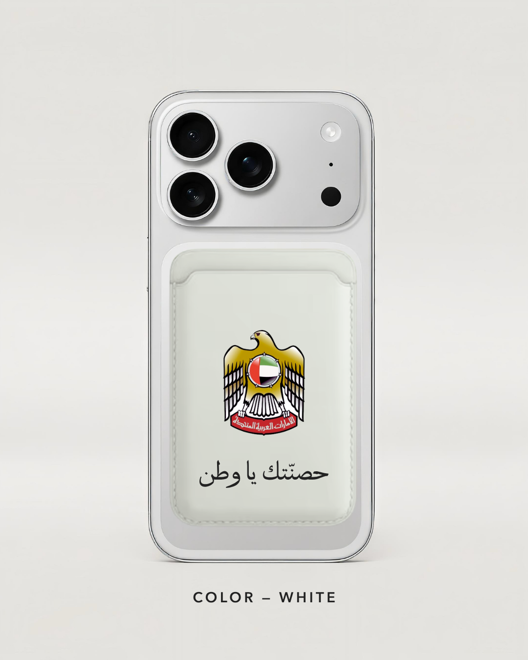 UAE falcon