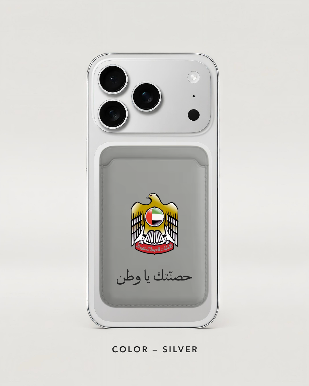 UAE falcon