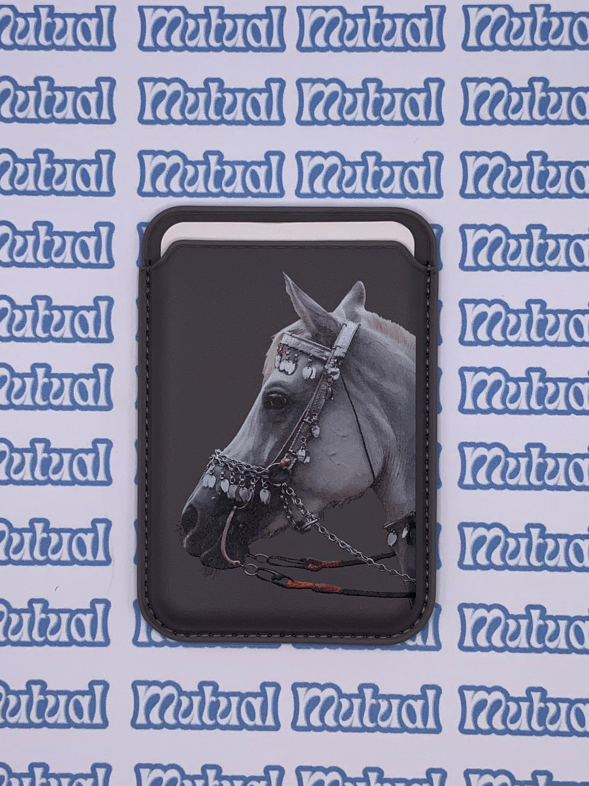 Animal ready card holders mix