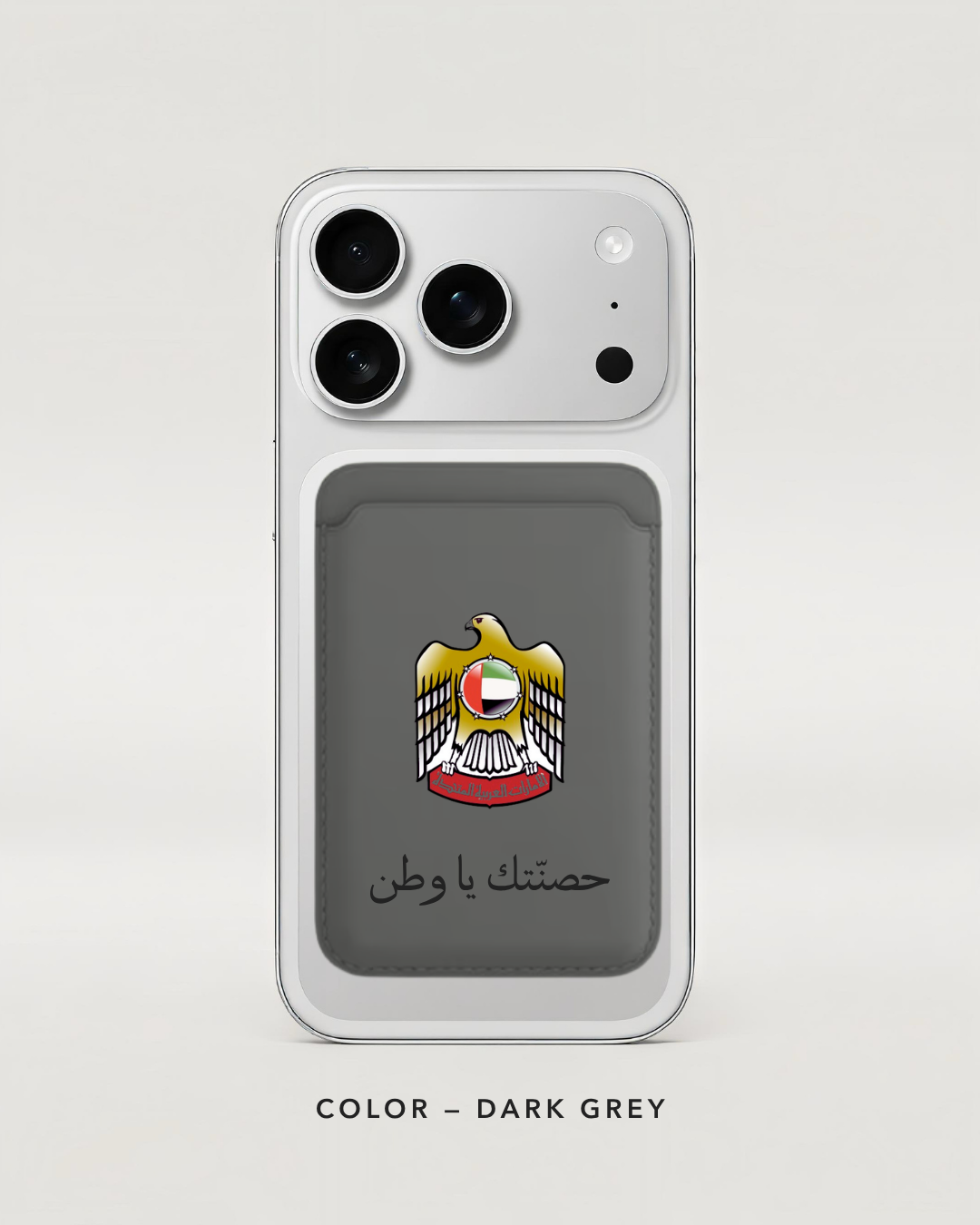 UAE falcon