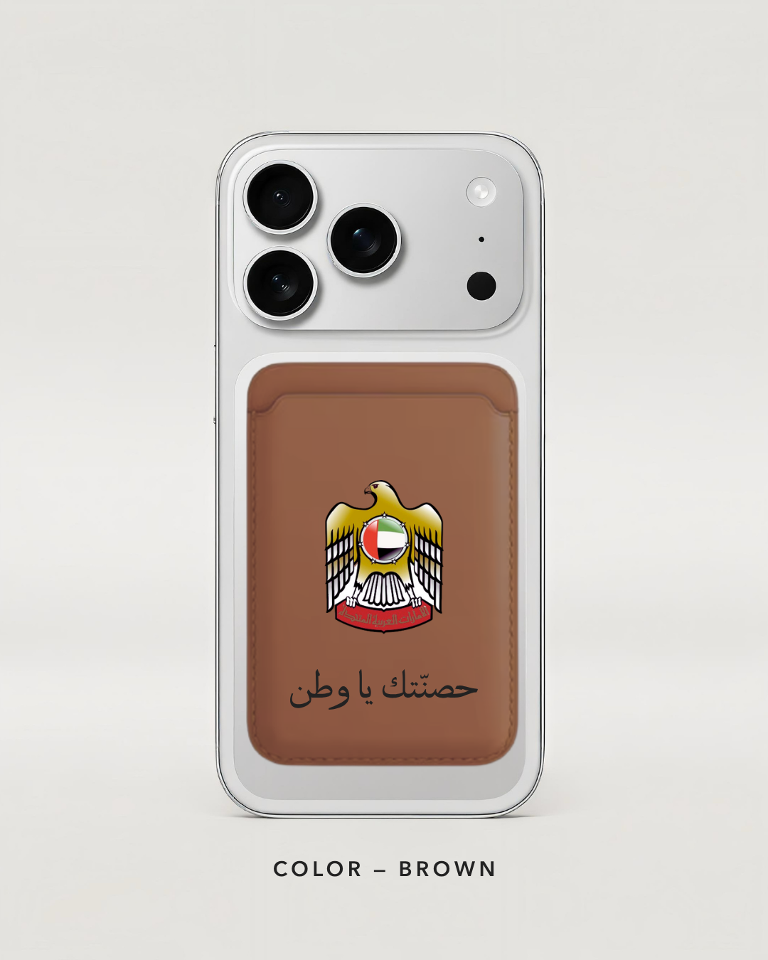 UAE falcon