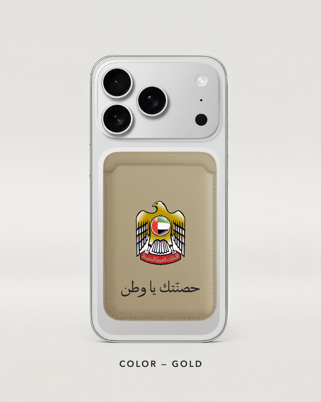 UAE falcon