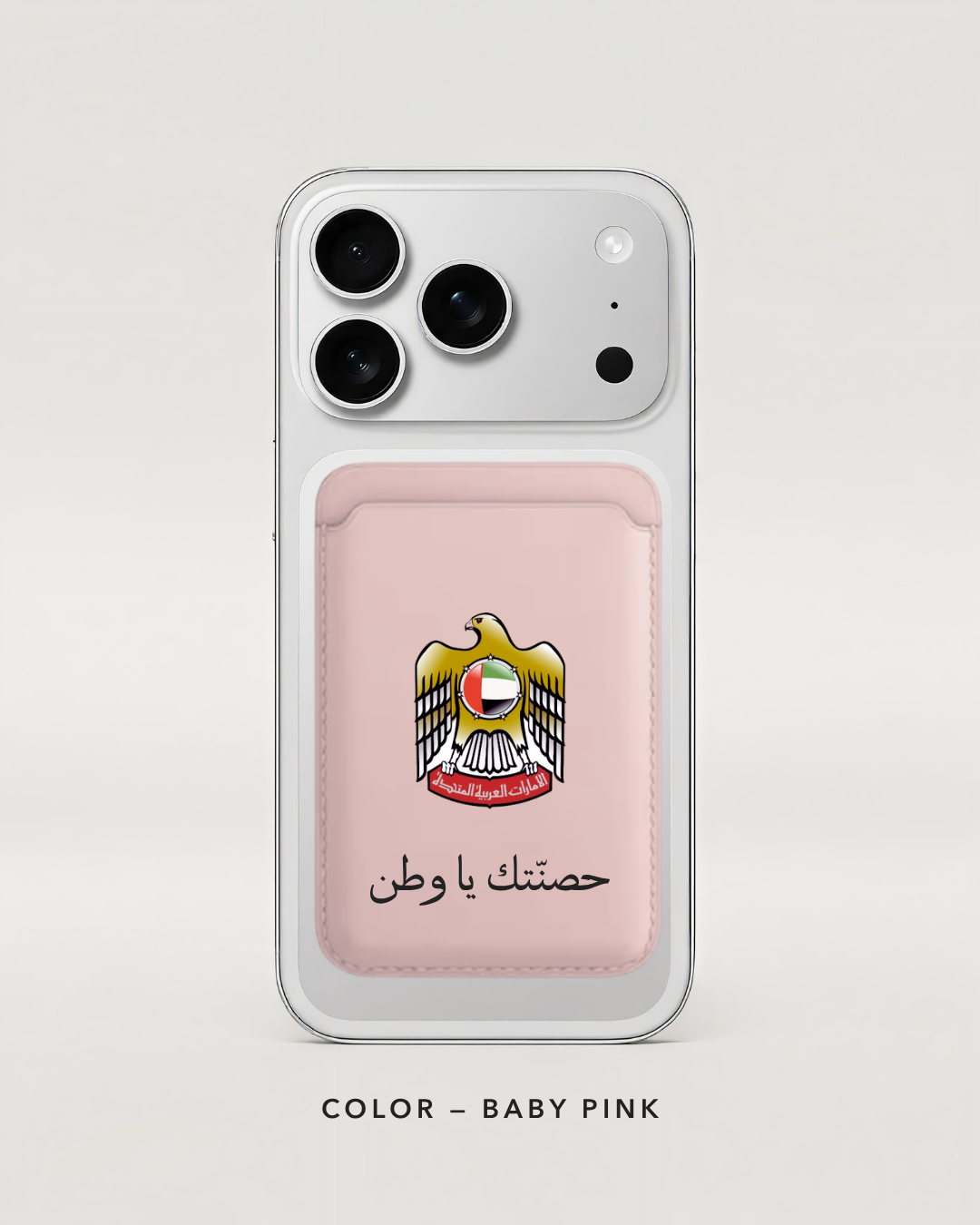 UAE falcon
