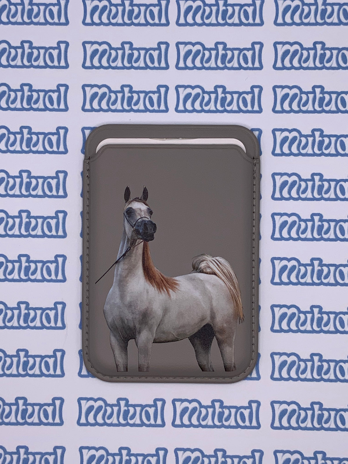 Animal ready card holders mix