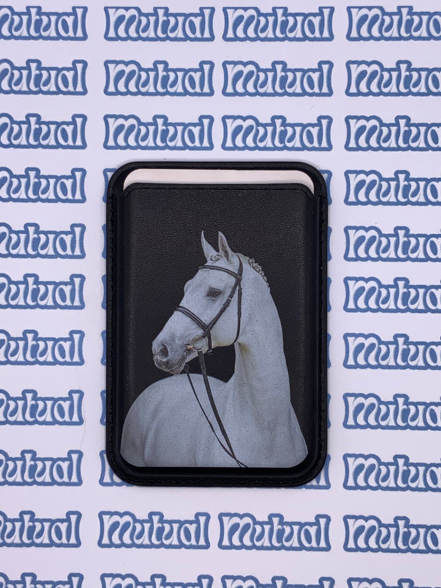 Animal ready card holders mix